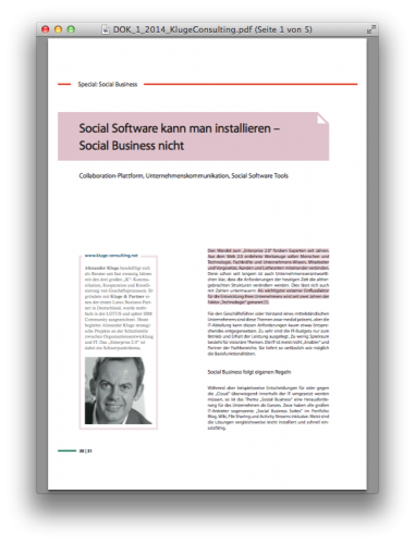 Dok Magazin Social Business Kluge Consulting